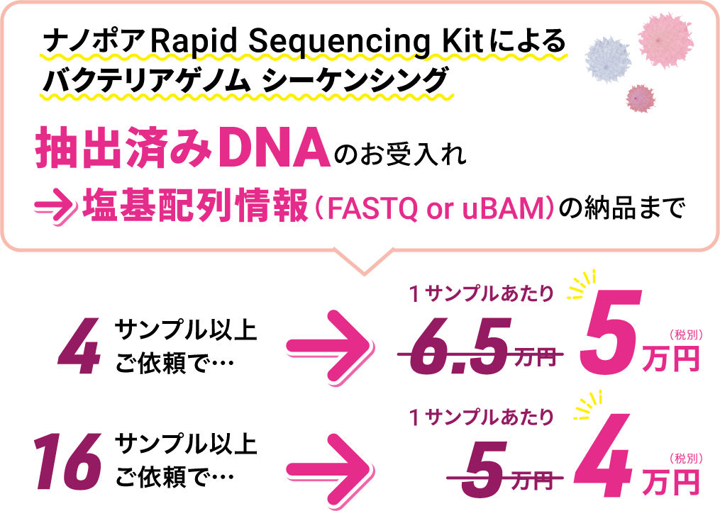 ナノポアRapid Sequencing Kitによる、バクテリアゲノム シーケンシング