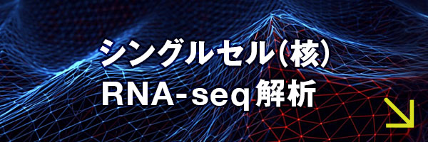 シングルセル（核）RNA-seq解析